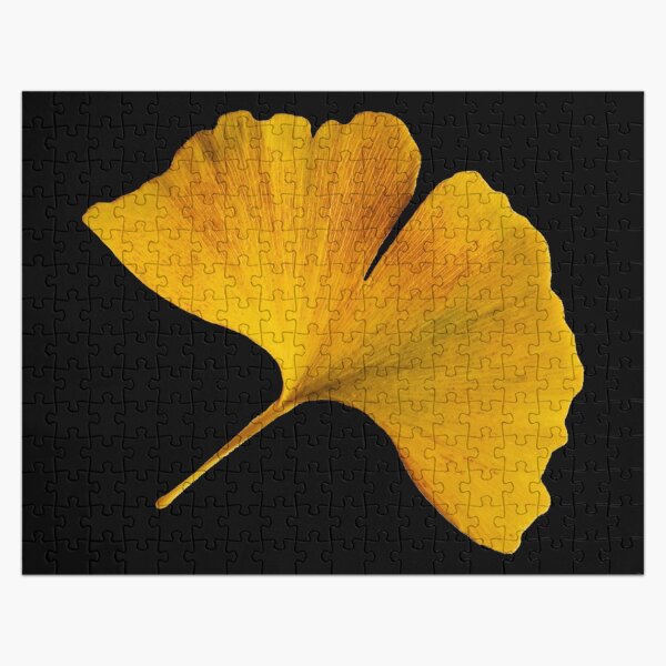 Artikel-Vorschau von Herbst Ginkgo Biloba Blatt Fotografie Herbstliches Ginkgoblatt gelb, designt und verkauft von Carl's Clothing.