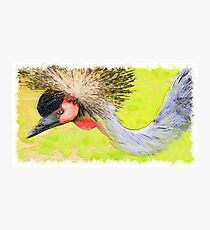 Crane royal drawn Art Photographic Print