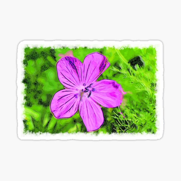 Cranesbill drawn Art Sticker