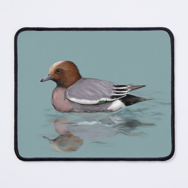 Item preview, A drawing of a swimming wigeon designed and sold by Bwiselizzy.