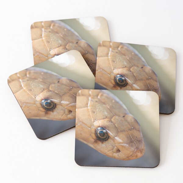 Item preview, Cape Cobra (Naja nivea) designed and sold by Pixel Press Prints.