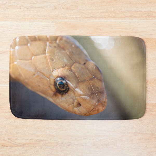 Item preview, Cape Cobra (Naja nivea) designed and sold by Pixel Press Prints.