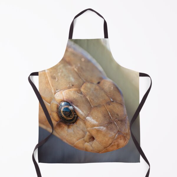 Item preview, Cape Cobra (Naja nivea) designed and sold by Pixel Press Prints.