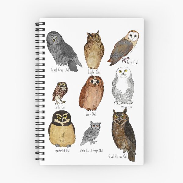 Item preview, Types of Owl designed and sold by katherineblower.
