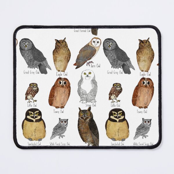 Item preview, Types of Owl designed and sold by katherineblower.