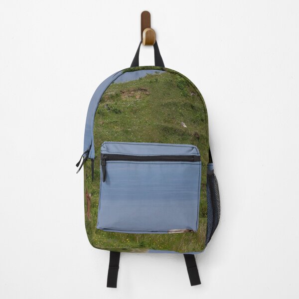 Item preview, The King Of The Castle designed and sold by David Hibberd.