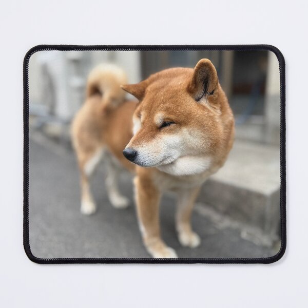 Item preview, Adorable Shiba Inu in a Relaxed Pose designed and sold by abi8899.