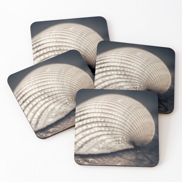Item preview, Seashell designed and sold by Pino 'Delfino' Esposito.