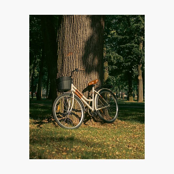 Item preview, Bicycle leanin on a tree designed and sold by aki-photopedia.