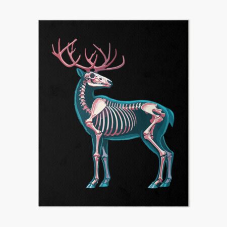 Item preview, X-ray Reindeer Body Anatomy Radiography Skeleton designed and sold by Artistoos.