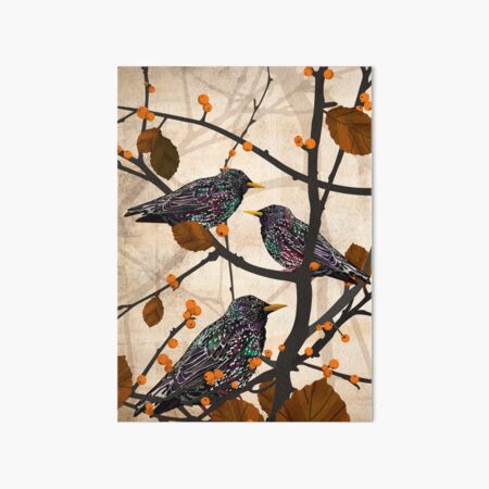 Item preview, Starlings designed and sold by katherineblower.