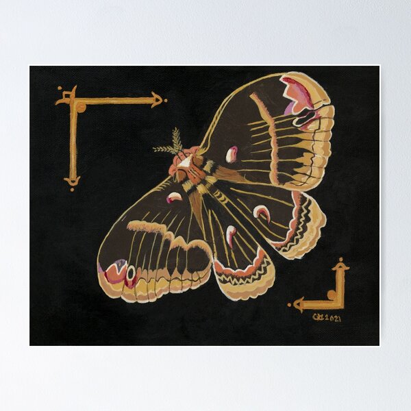 Item preview, Cecropia Moth designed and sold by CindyKGuyArt.