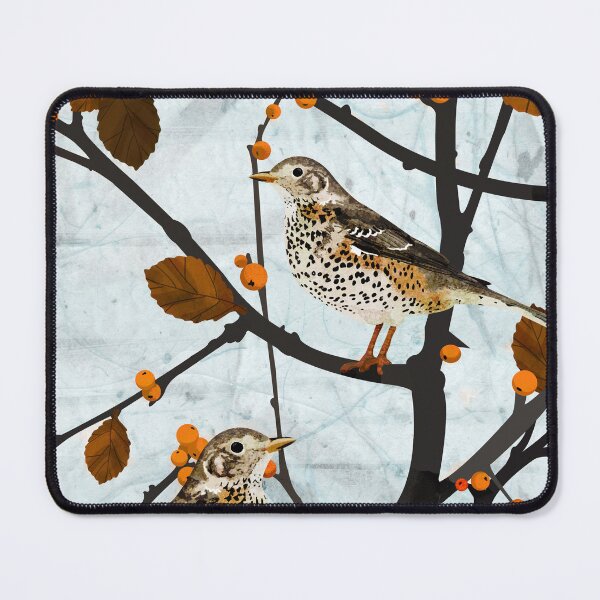 Item preview, Mistle thrush designed and sold by katherineblower.
