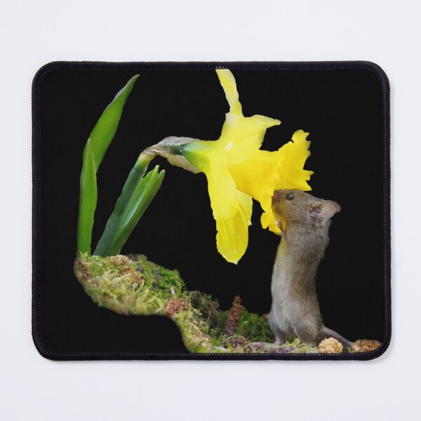 Item preview, The mouse by the daffodils designed and sold by Simon-dell.