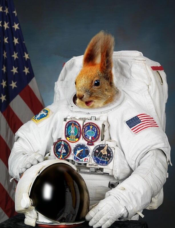 "Squirrel Astronaut" by Borkatjov Redbubble