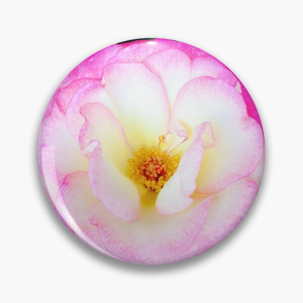 Artikelvorschau, Nahaufnahme einer leuchtend rosa Rose entworfen und verkauft von KateEsdaile.