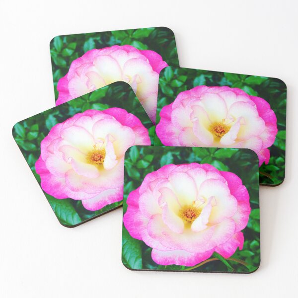Item preview, Close up of a bright pink rose  designed and sold by KateEsdaile.