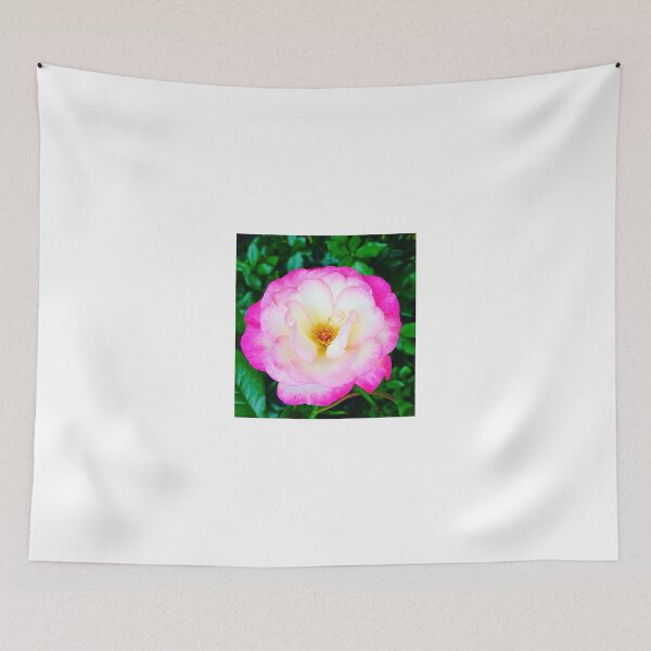 Item preview, Close up of a bright pink rose  designed and sold by KateEsdaile.