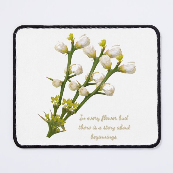Item preview, The Story of New Beginnings designed and sold by PsyFlow35.