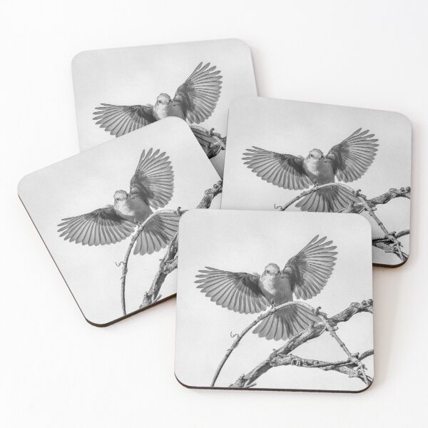 Item preview, Vermillion Flycatcher BW Pantanal Brazil designed and sold by PhotoArt by Joan Carroll.