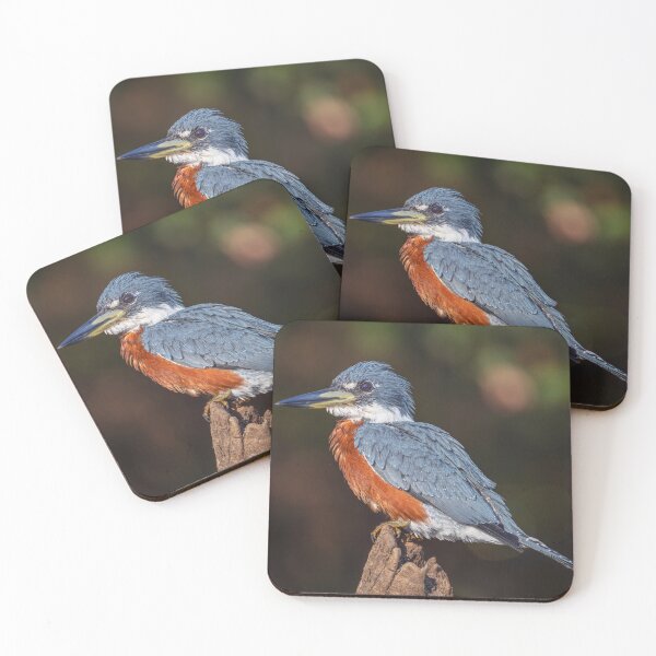 Item preview, Ringed Kingfisher 2 Pantanal Brazil designed and sold by PhotoArt by Joan Carroll.