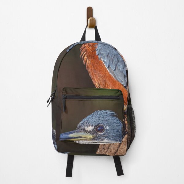 Item preview, Ringed Kingfisher 2 Pantanal Brazil designed and sold by PhotoArt by Joan Carroll.