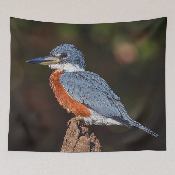 Item preview, Ringed Kingfisher 2 Pantanal Brazil designed and sold by PhotoArt by Joan Carroll.