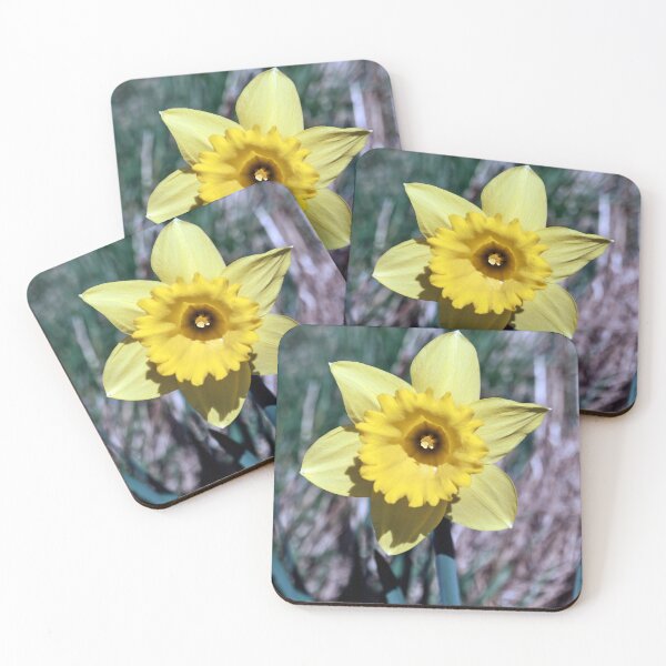 Item preview, Single Daffodil  designed and sold by Tom McPherson Photography.