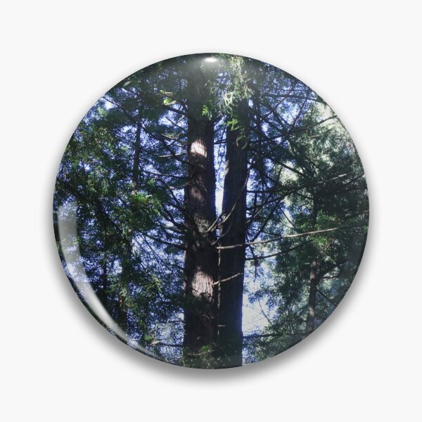 Item preview, Redwood tree designed and sold by fluffofevil.