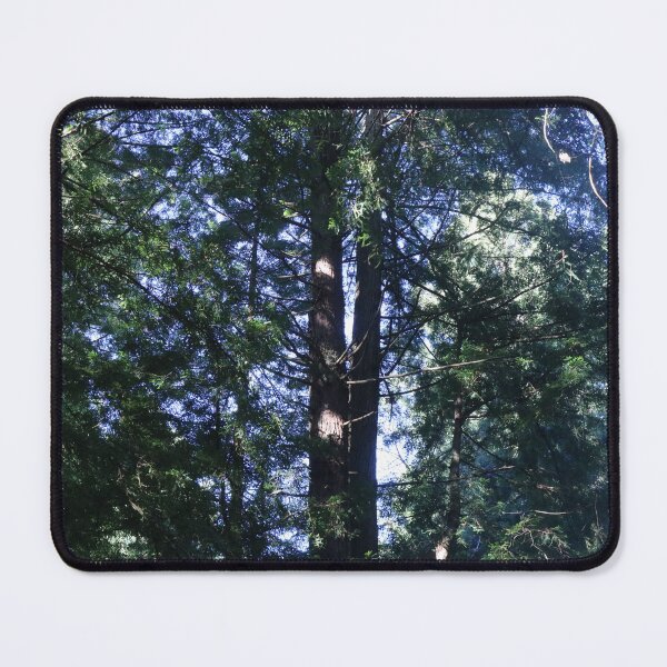 Item preview, Redwood tree designed and sold by fluffofevil.