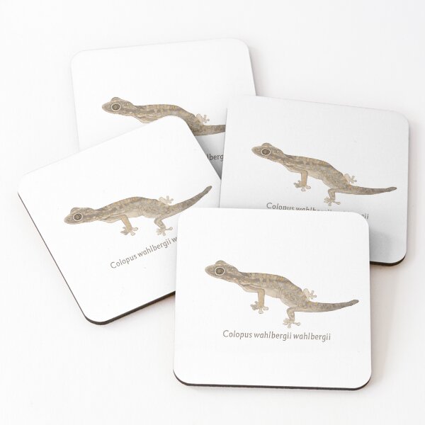 Item preview, Ground gecko  designed and sold by kokoape.