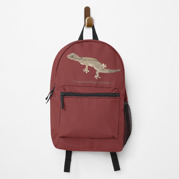 Item preview, Ground gecko designed and sold by kokoape.