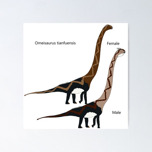 Item preview, Omeisaurus tianfuensis designed and sold by TTorres45.