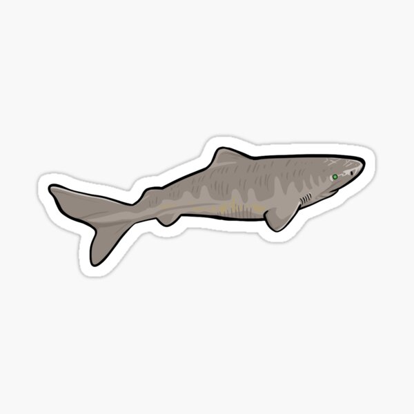 Item preview, Ancient Greenland Shark designed and sold by Theodandy.