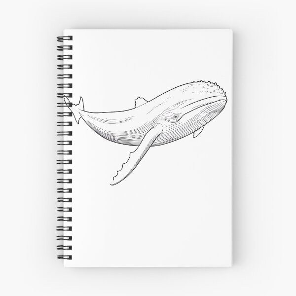 Item preview, Whale Sealife Coloring Page Pattern  designed and sold by DavidColoring.