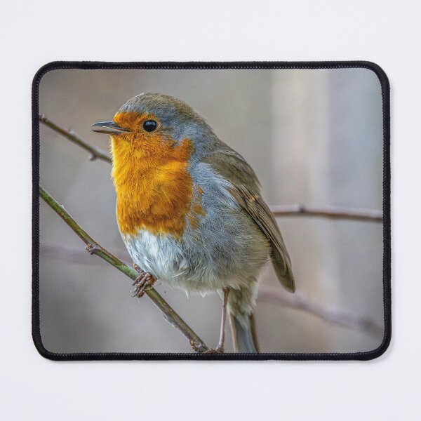 Item preview, Robin designed and sold by Flyal4.
