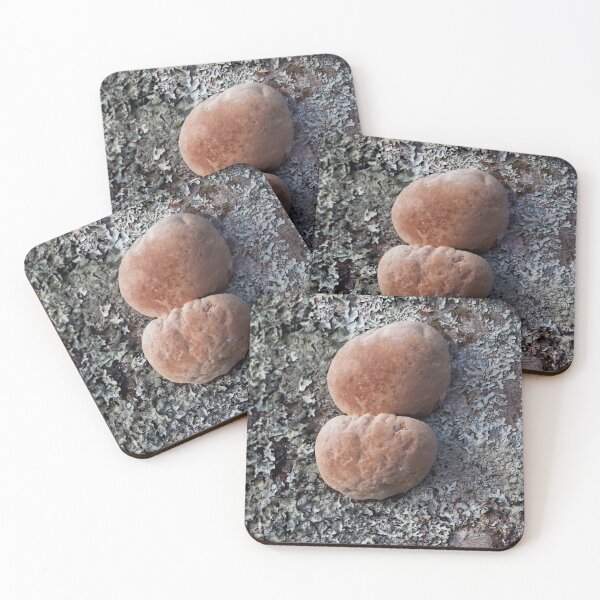 Item preview, The balls of aspen. Scoundrel. designed and sold by Jouko Lehto Photography.