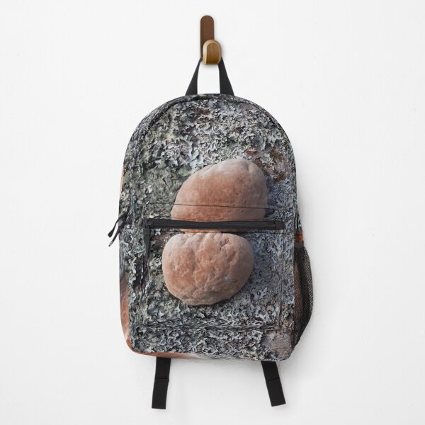 Item preview, The balls of aspen. Scoundrel. designed and sold by Jouko Lehto Photography.