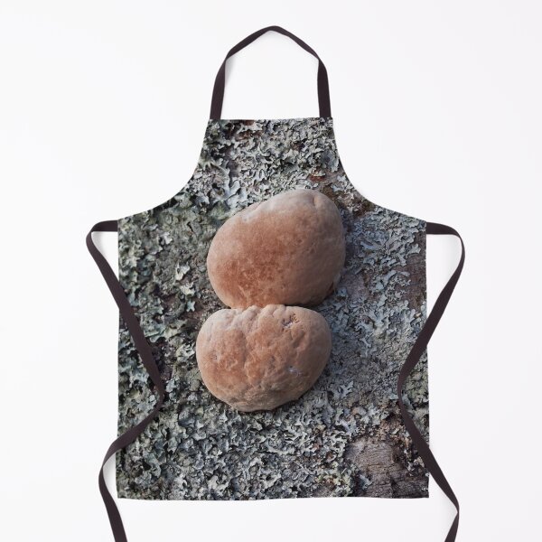 Item preview, The balls of aspen. Scoundrel. designed and sold by Jouko Lehto Photography.