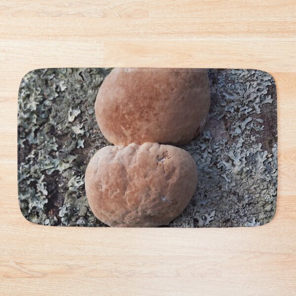 Item preview, The balls of aspen. Scoundrel. designed and sold by Jouko Lehto Photography.