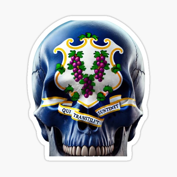 Item preview, Connecticut flag skull designed and sold by WilAugusta.