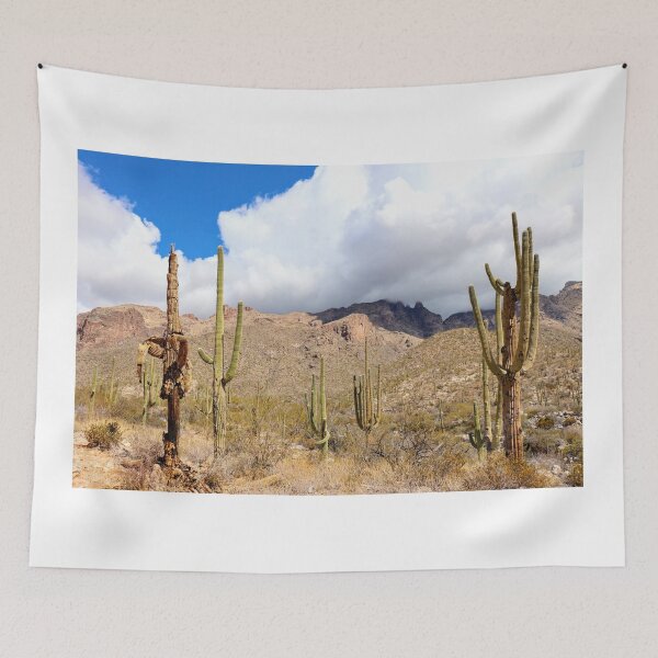 Item preview, Clouds Saguaro Cacti Catalina  Mountain Views designed and sold by simonjayphotos.