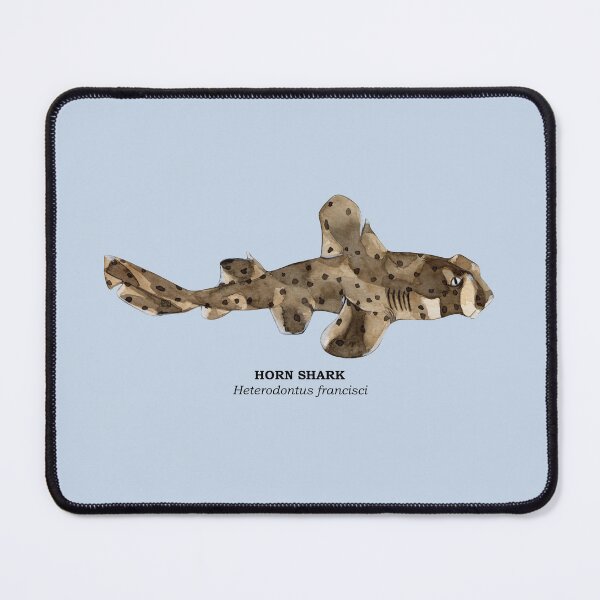Item preview, HORN SHARK-Heterodontus francisci (name) designed and sold by BEATRIZ ABAITUA.