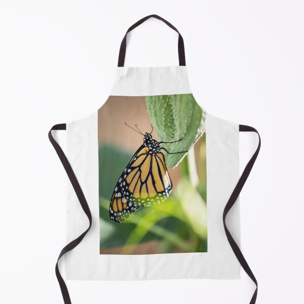 Item preview, monarch on milkweed designed and sold by sarahjeanphoto.