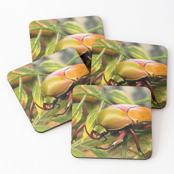 Item preview, Green flower beetle designed and sold by EchoSkyArt.