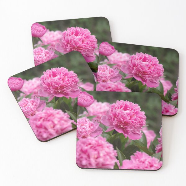 Item preview, pink peonyflowers designed and sold by sarahjeanphoto.