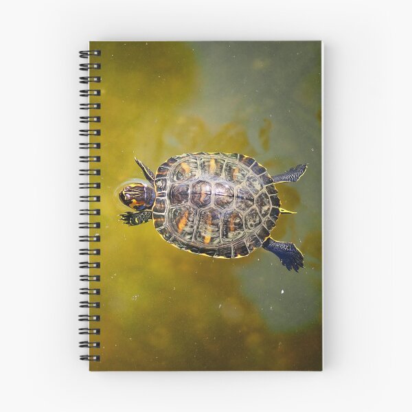 Item preview, The journey of a baby turtle designed and sold by Pino 'Delfino' Esposito.