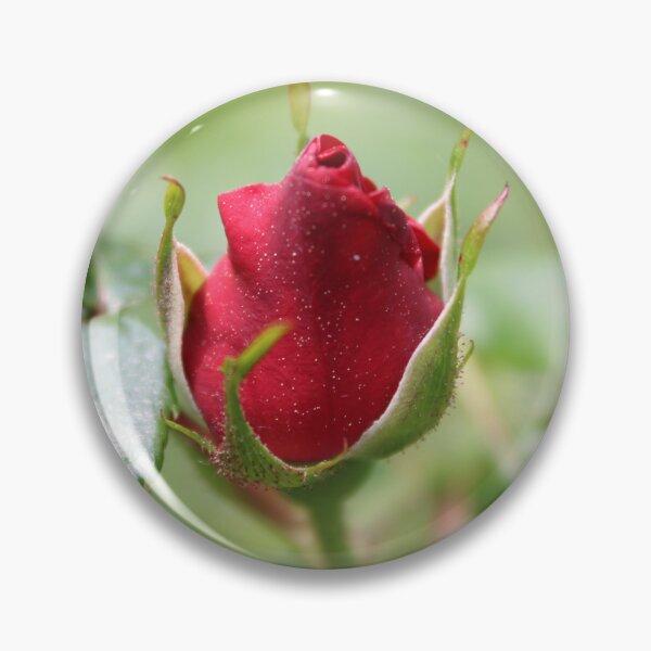 Item preview, Delicate, Single Red Rosebud designed and sold by Bud, Blossom & Bloom.