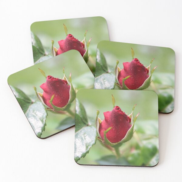 Item preview, Delicate, Single Red Rosebud designed and sold by Bud, Blossom & Bloom.