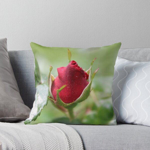 Item preview, Delicate, Single Red Rosebud designed and sold by Bud, Blossom & Bloom.